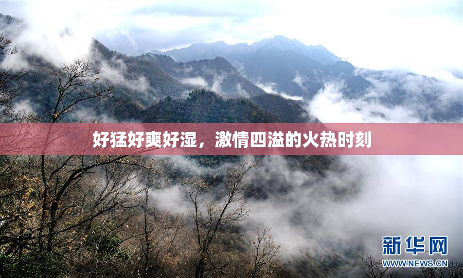 好猛好爽好湿，激情四溢的火热时刻