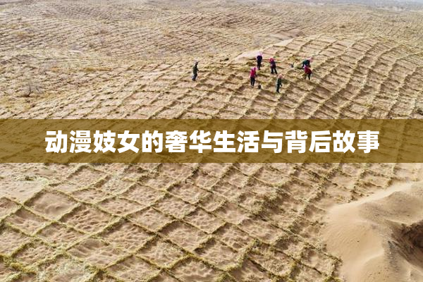 动漫妓女的奢华生活与背后故事