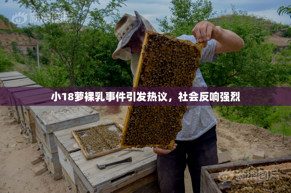 小18萝裸乳事件引发热议，社会反响强烈