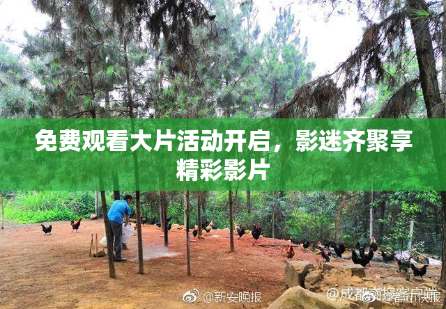 免费观看大片活动开启，影迷齐聚享精彩影片
