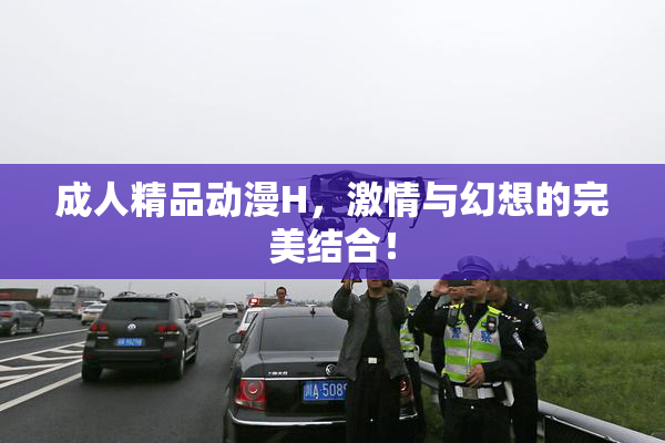成人精品动漫H，激情与幻想的完美结合！