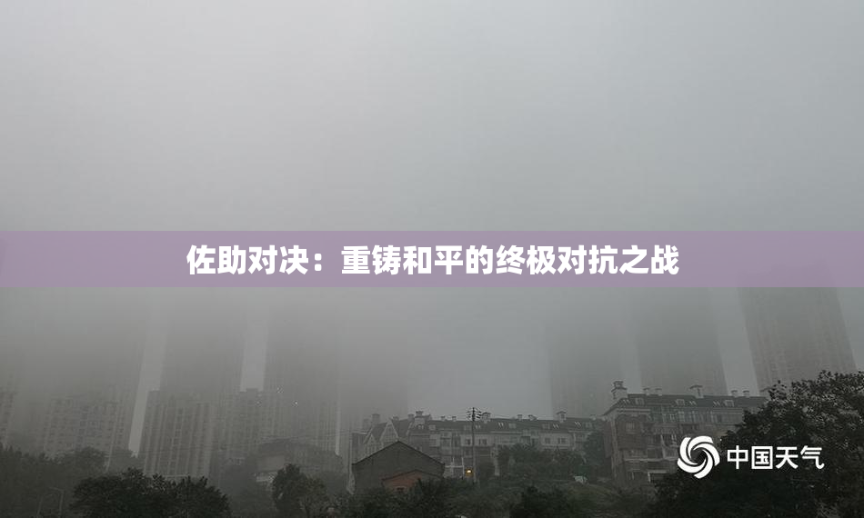 佐助对决：重铸和平的终极对抗之战