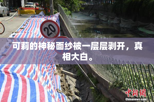 可莉的神秘面纱被一层层剥开，真相大白。