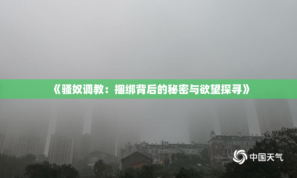 《骚奴调教：捆绑背后的秘密与欲望探寻》