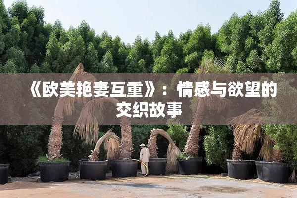 《欧美艳妻互重》：情感与欲望的交织故事