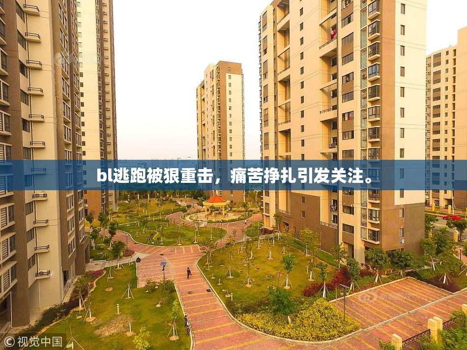 bl逃跑被狠重击，痛苦挣扎引发关注。