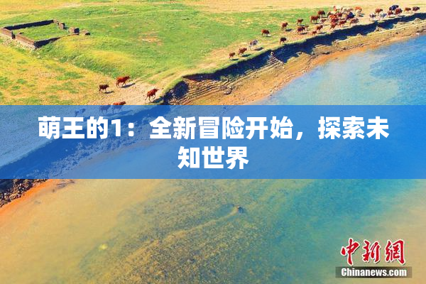 萌王的1：全新冒险开始，探索未知世界