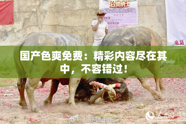 国产色爽免费：精彩内容尽在其中，不容错过！