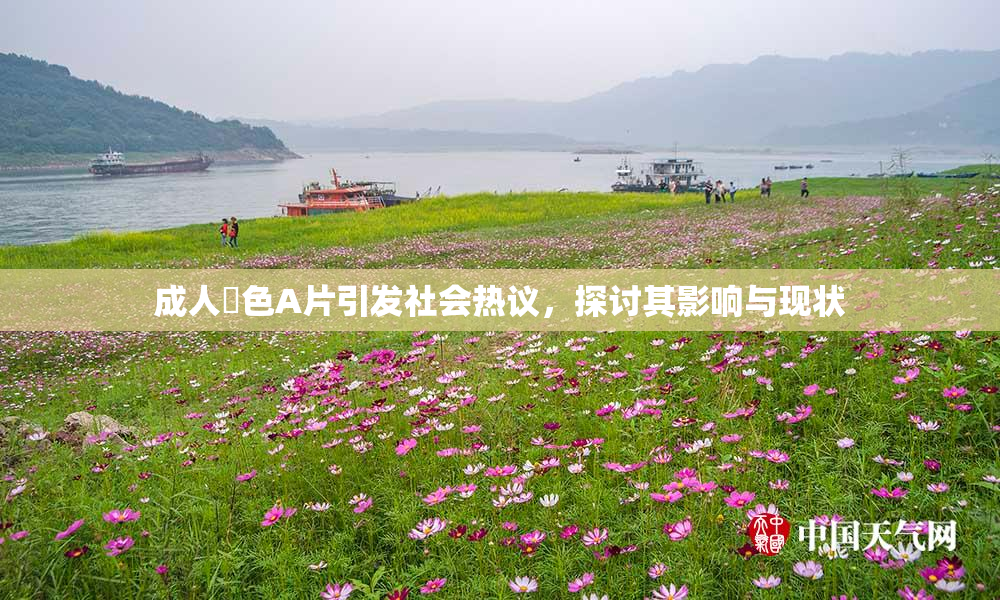成人黃色A片引发社会热议，探讨其影响与现状