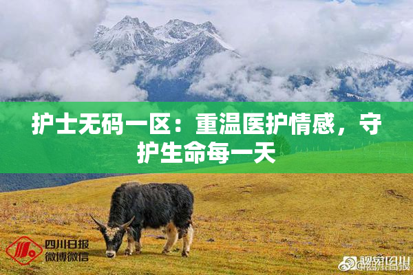 护士无码一区：重温医护情感，守护生命每一天