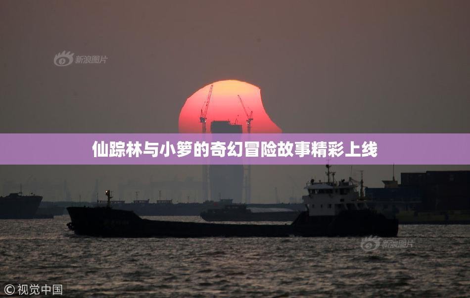 仙踪林与小箩的奇幻冒险故事精彩上线