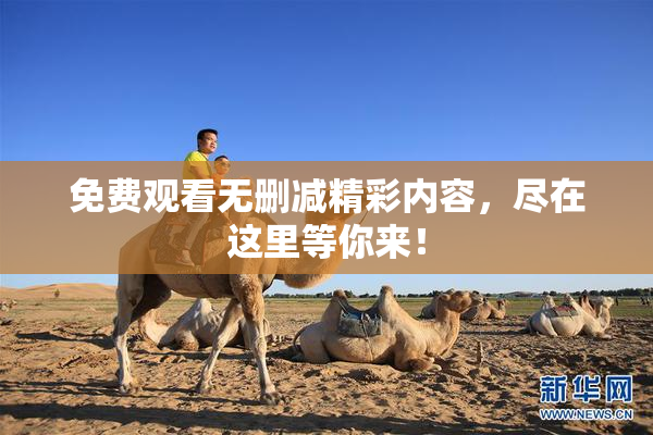 免费观看无删减精彩内容，尽在这里等你来！