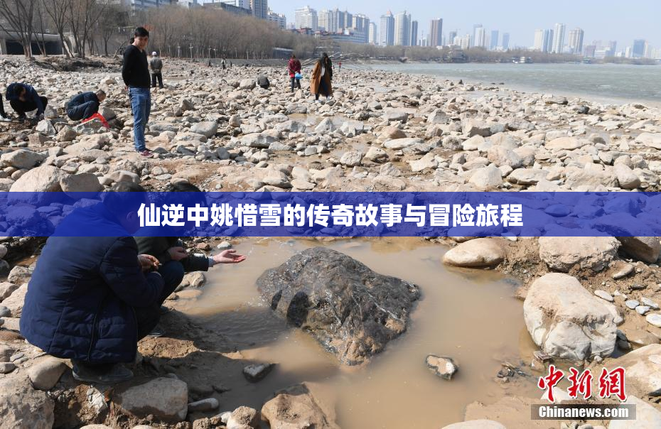 仙逆中姚惜雪的传奇故事与冒险旅程