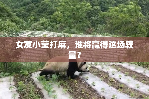 女友小莹打麻，谁将赢得这场较量？