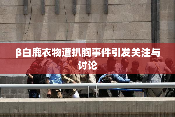 β白鹿衣物遭扒胸事件引发关注与讨论
