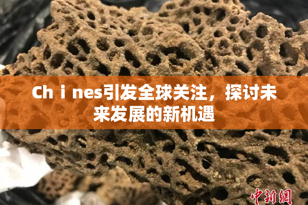Chⅰnes引发全球关注，探讨未来发展的新机遇