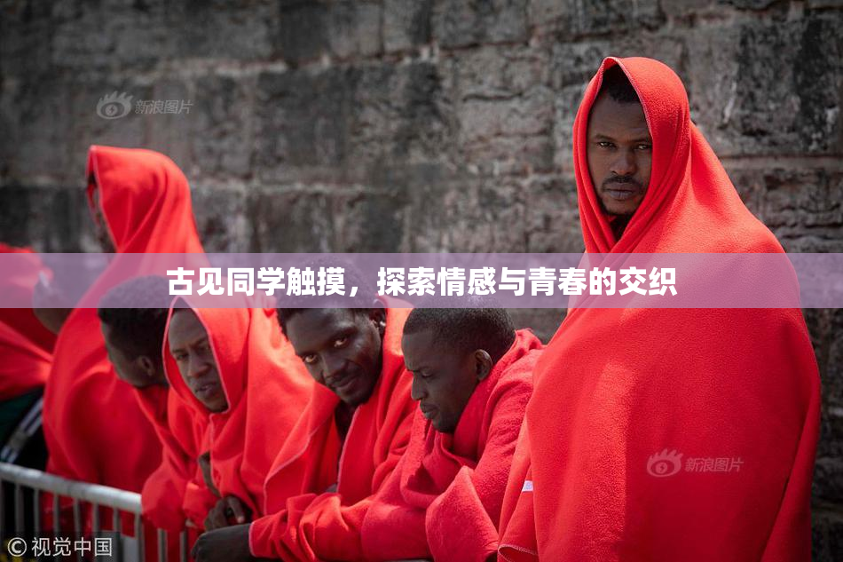 古见同学触摸，探索情感与青春的交织