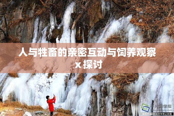 人与牲畜的亲密互动与饲养观察ⅹ探讨