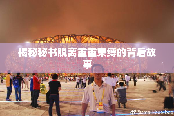 揭秘秘书脱离重重束缚的背后故事
