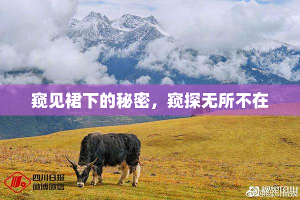 窥见裙下的秘密，窥探无所不在