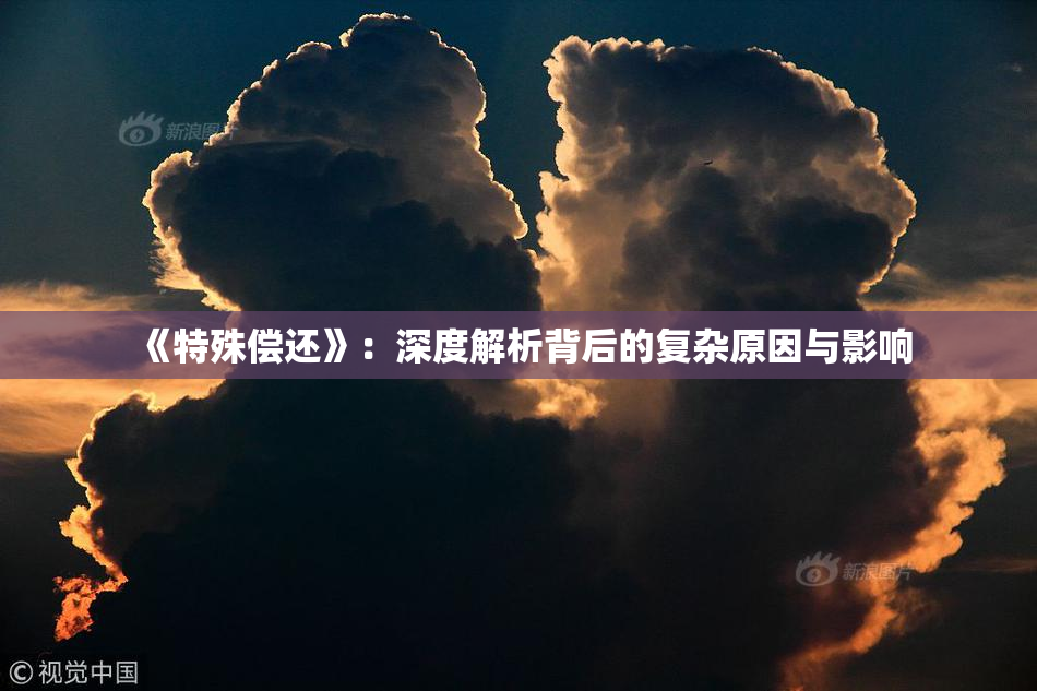 《特殊偿还》：深度解析背后的复杂原因与影响