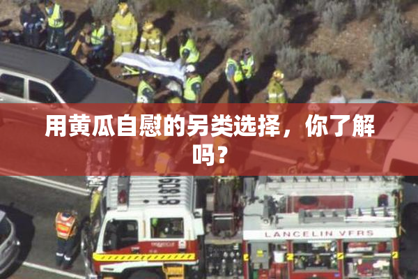 用黄瓜自慰的另类选择，你了解吗？