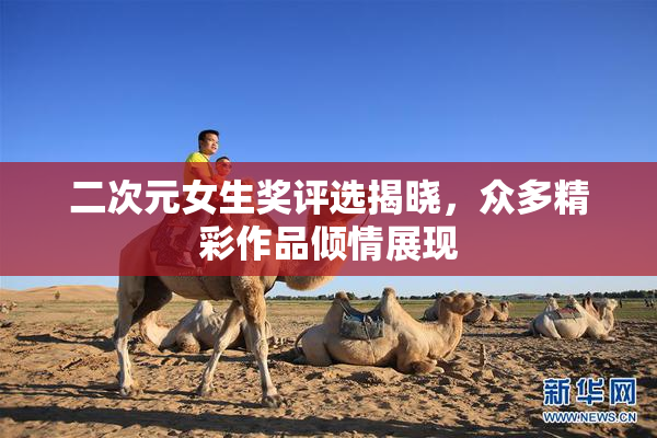 二次元女生奖评选揭晓，众多精彩作品倾情展现
