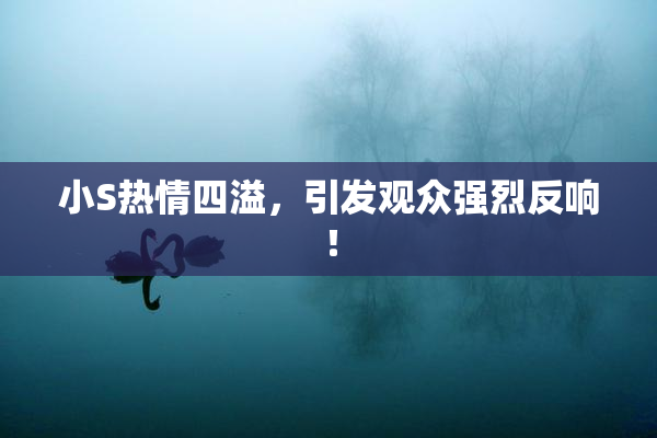 小S热情四溢，引发观众强烈反响！