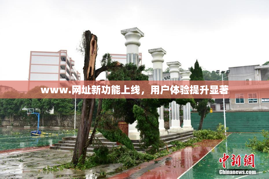www.网址新功能上线，用户体验提升显著