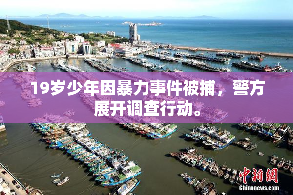 19岁少年因暴力事件被捕，警方展开调查行动。