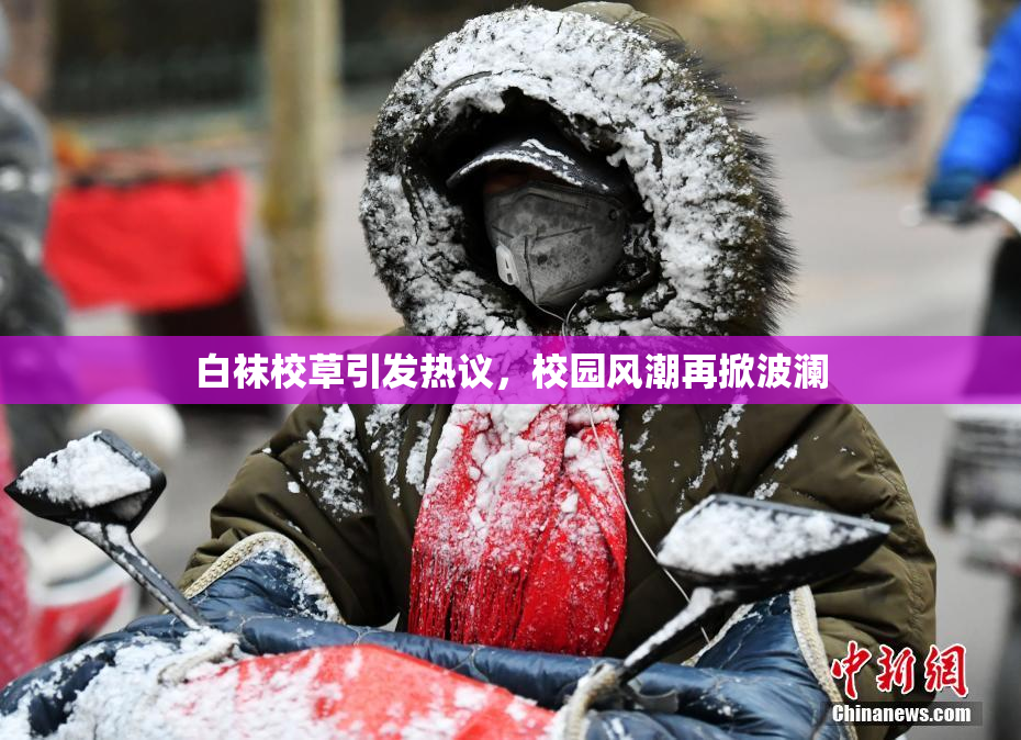 白袜校草引发热议，校园风潮再掀波澜