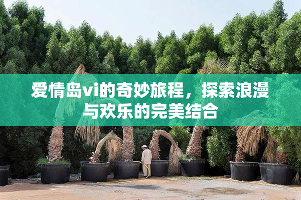 爱情岛vi的奇妙旅程，探索浪漫与欢乐的完美结合