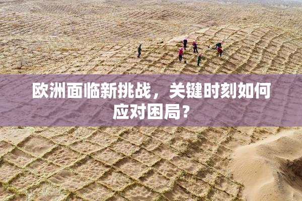 欧洲面临新挑战，关键时刻如何应对困局？
