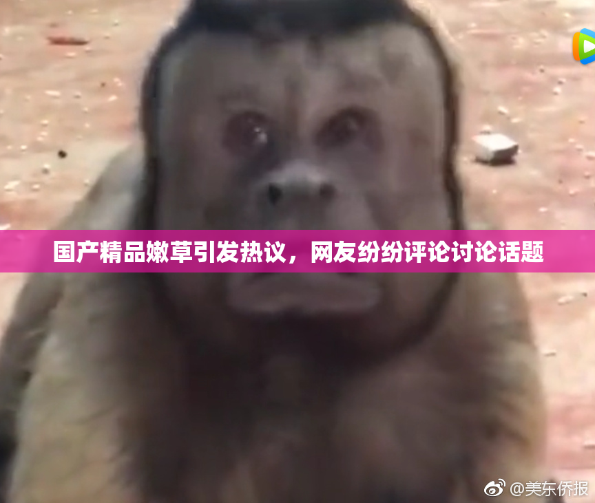国产精品嫩草引发热议，网友纷纷评论讨论话题