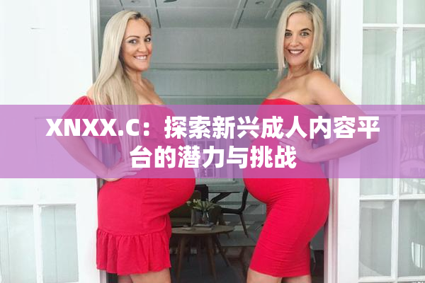 XNXX.C：探索新兴成人内容平台的潜力与挑战