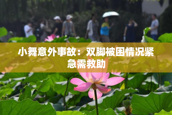 小舞意外事故：双脚被困情况紧急需救助
