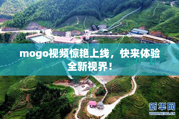 mogo视频惊艳上线，快来体验全新视界！