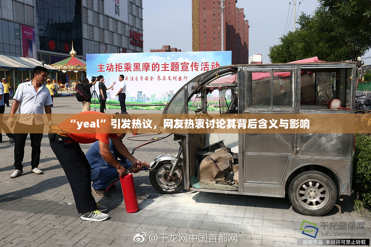 “yeal”引发热议，网友热衷讨论其背后含义与影响