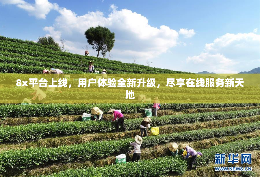 8x平台上线，用户体验全新升级，尽享在线服务新天地