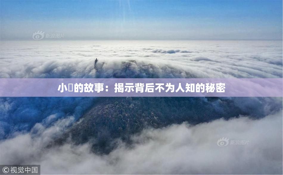 小泬的故事：揭示背后不为人知的秘密