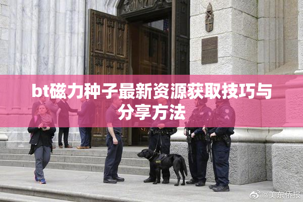 bt磁力种子最新资源获取技巧与分享方法