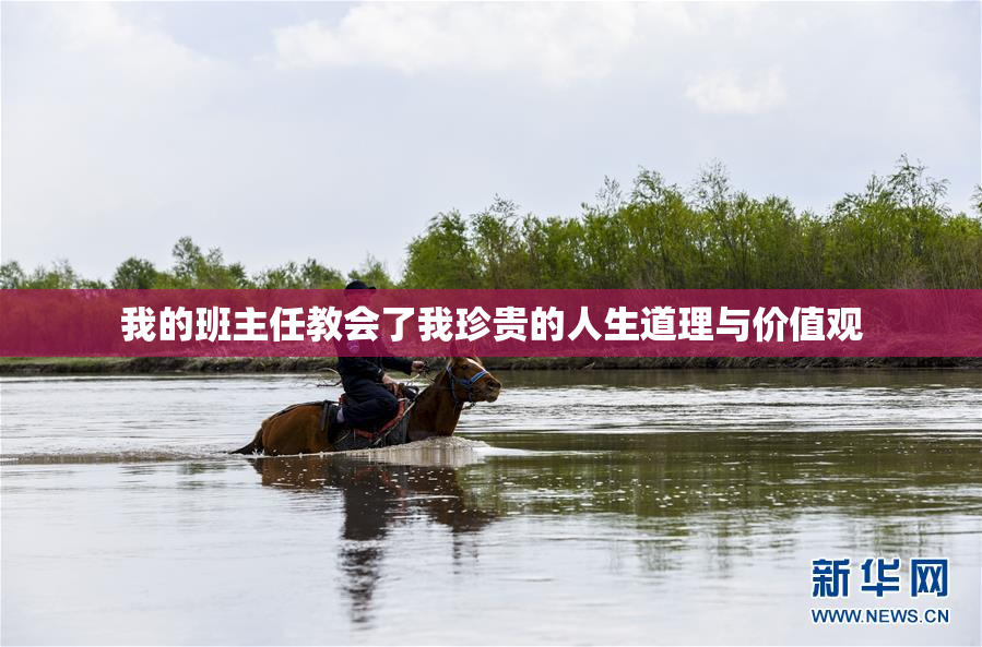 我的班主任教会了我珍贵的人生道理与价值观