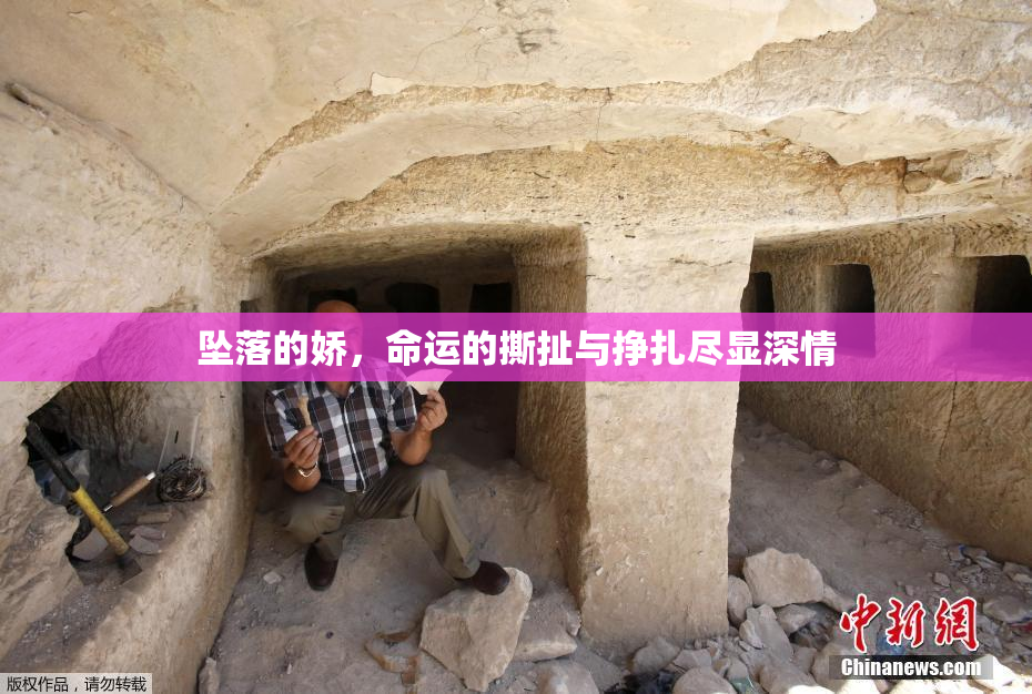 坠落的娇，命运的撕扯与挣扎尽显深情
