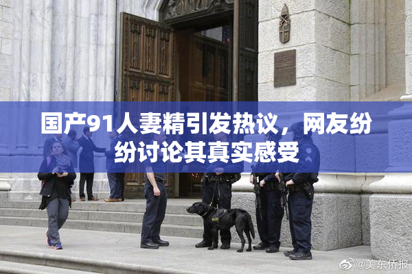国产91人妻精引发热议，网友纷纷讨论其真实感受