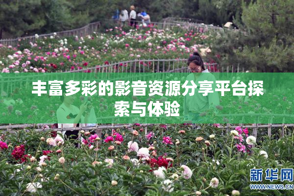 丰富多彩的影音资源分享平台探索与体验