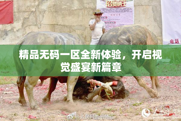 精品无码一区全新体验，开启视觉盛宴新篇章