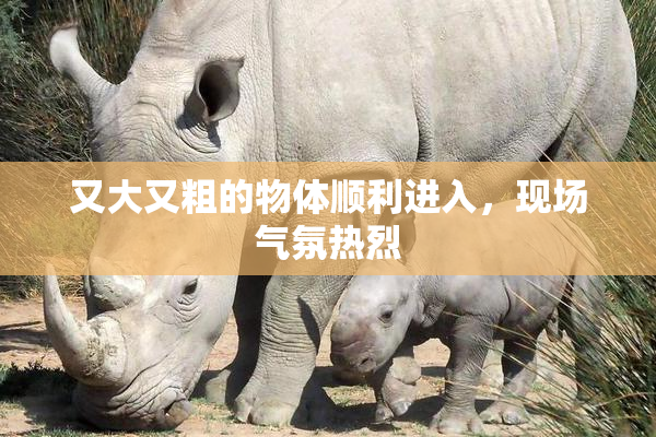 又大又粗的物体顺利进入，现场气氛热烈