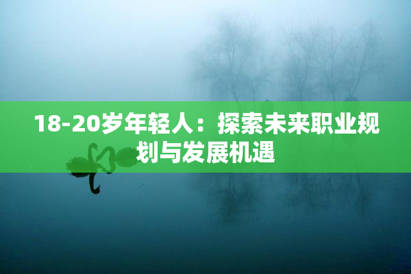 18-20岁年轻人：探索未来职业规划与发展机遇