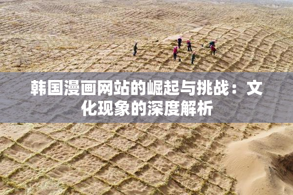 韩国漫画网站的崛起与挑战：文化现象的深度解析