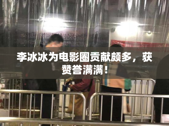李冰冰为电影圈贡献颇多，获赞誉满满！